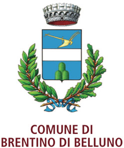 Logo CUSTOM
